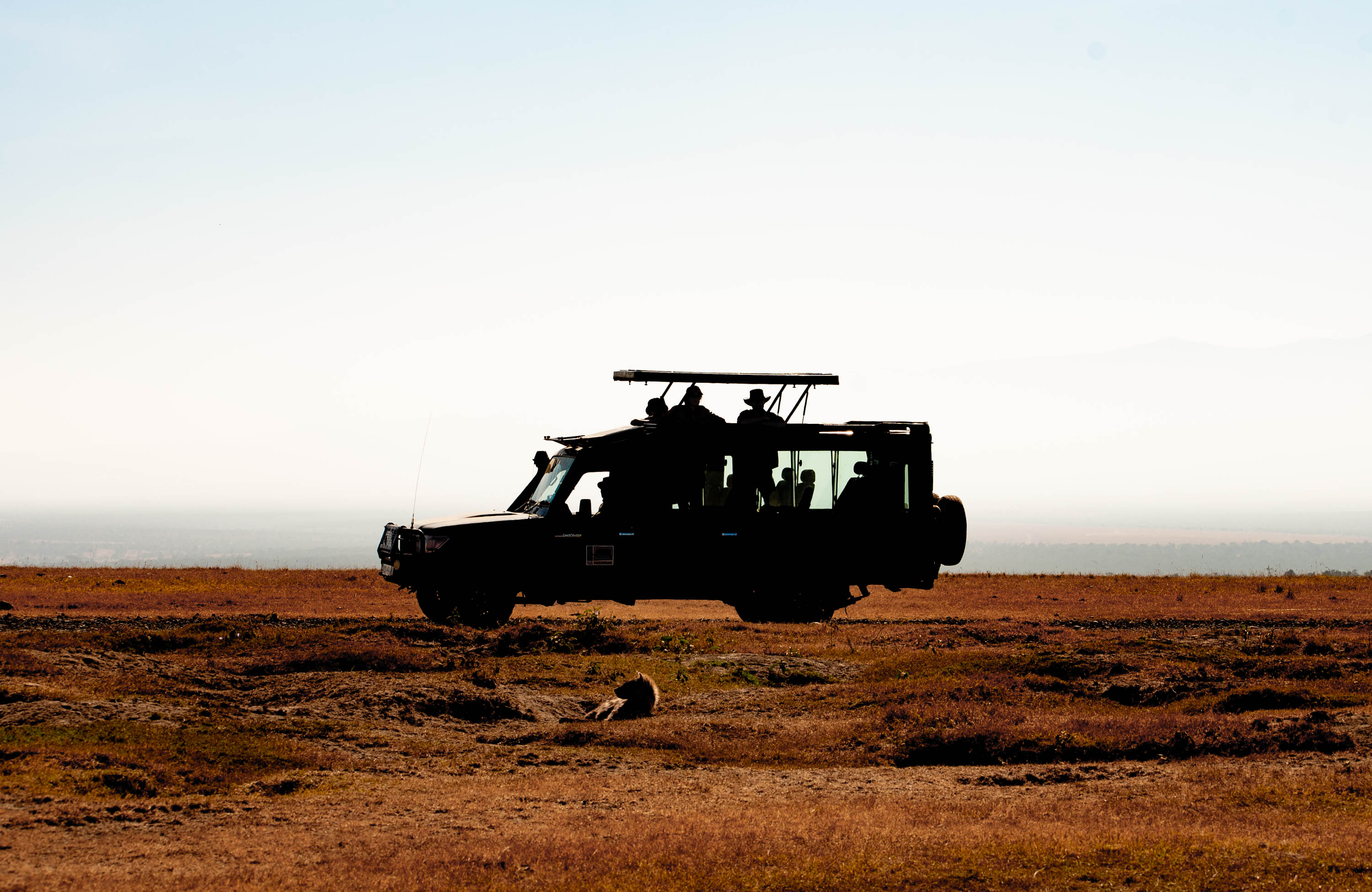 Safari vehicle